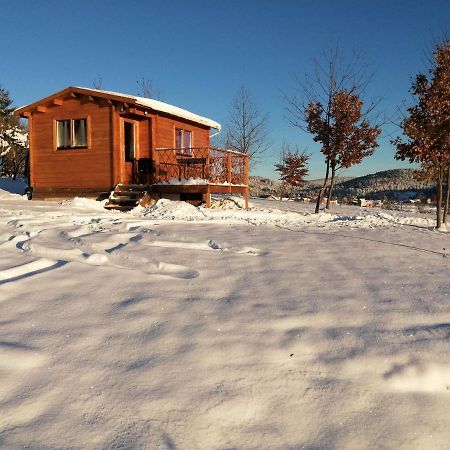 Le Chalet Des Etoiles Champagnac-le-Vieux Eksteriør bilde
