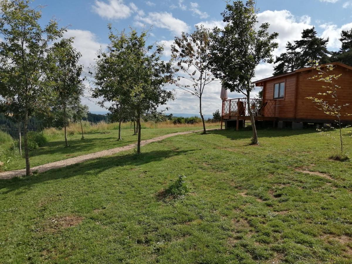 Le Chalet Des Etoiles Champagnac-le-Vieux Eksteriør bilde