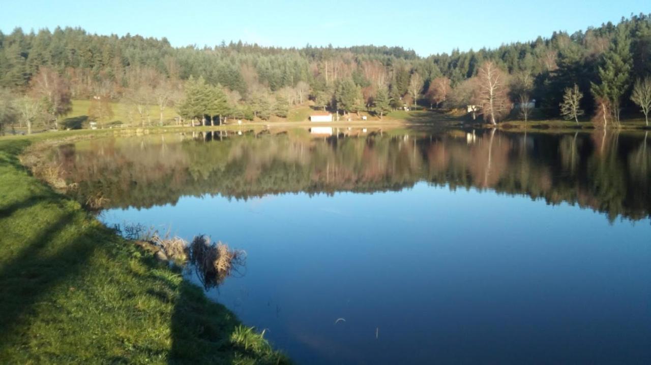 Le Chalet Des Etoiles Champagnac-le-Vieux Eksteriør bilde