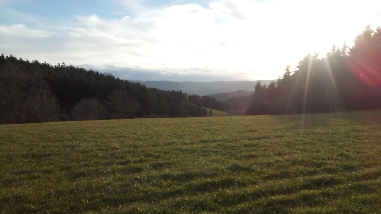 Le Chalet Des Etoiles Champagnac-le-Vieux Eksteriør bilde