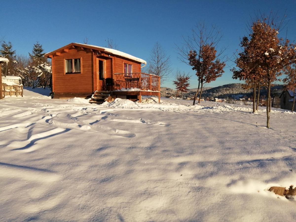 Le Chalet Des Etoiles Champagnac-le-Vieux Eksteriør bilde
